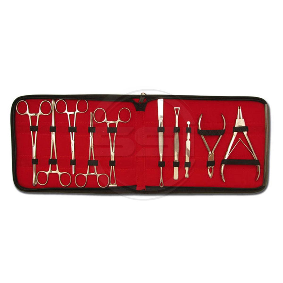 Piercing Tools Kit – 10 Pieces