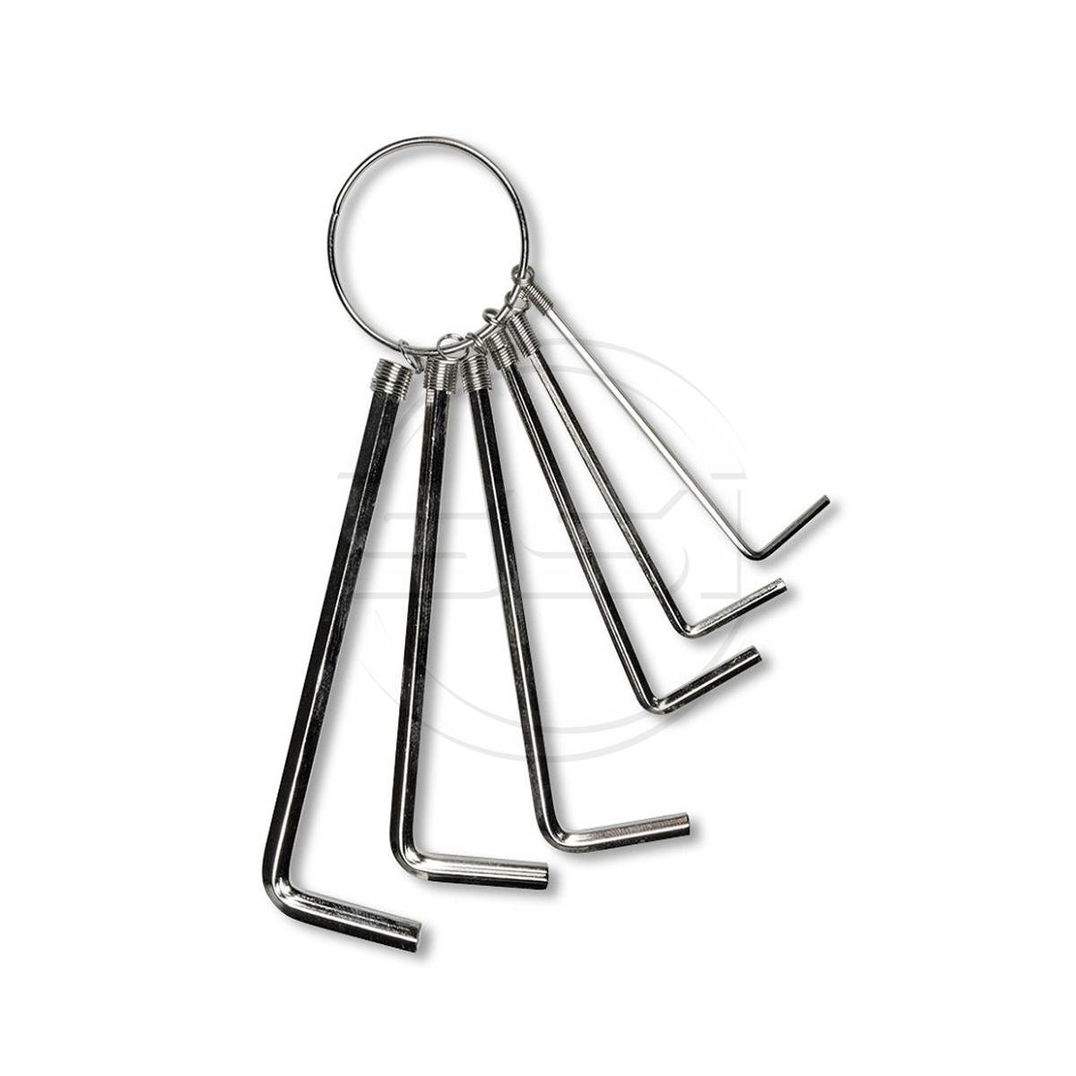 6 Piece Allen Wrench Set