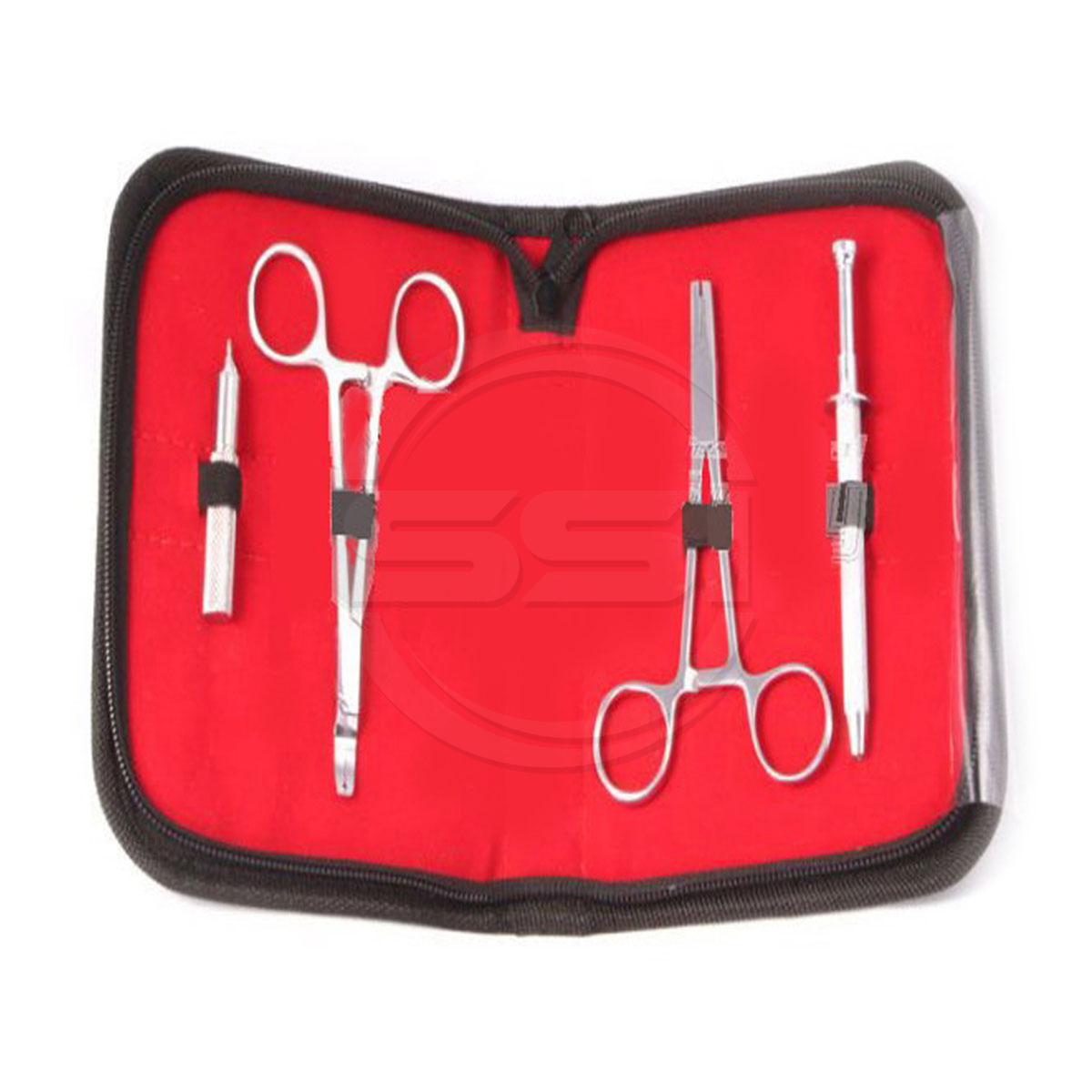 Professional Dermal Tools Kit -4 Pieces