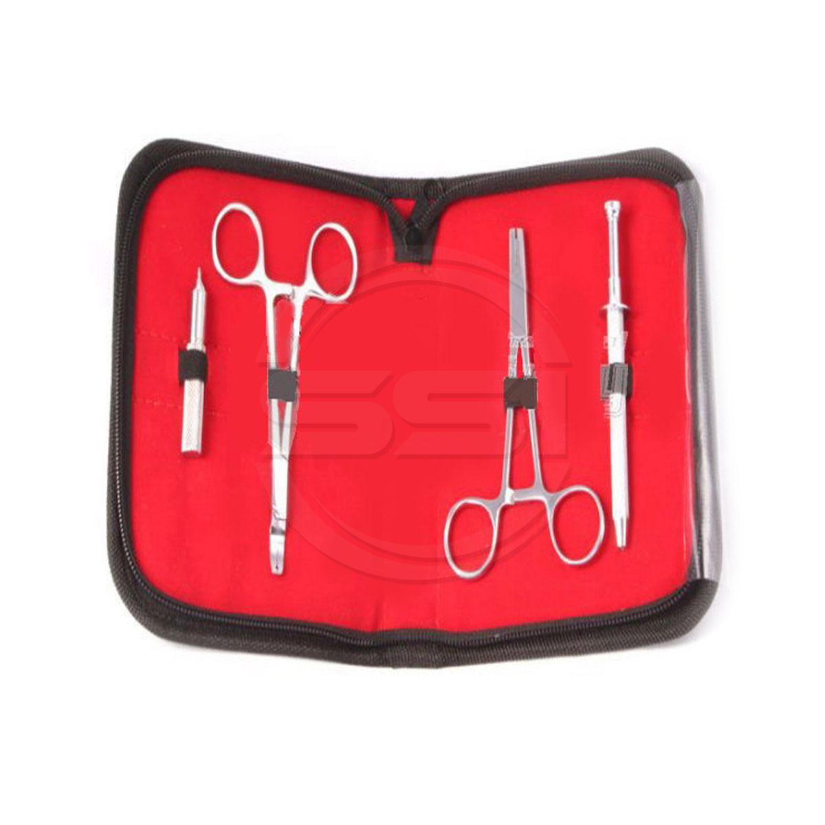Professional Dermal Tools Kit 4 Pieces