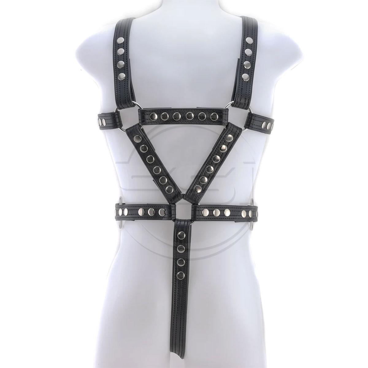 Men's Full Body Harness - Image 2